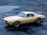 Pontiac Firebird Esprit 1973 года